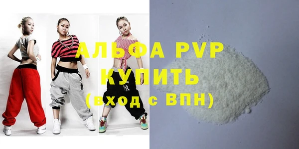 хмурый Новозыбков