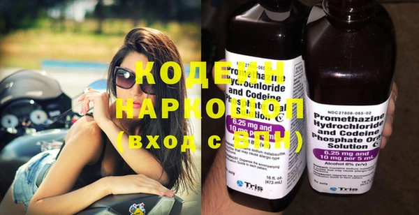 хмурый Новозыбков