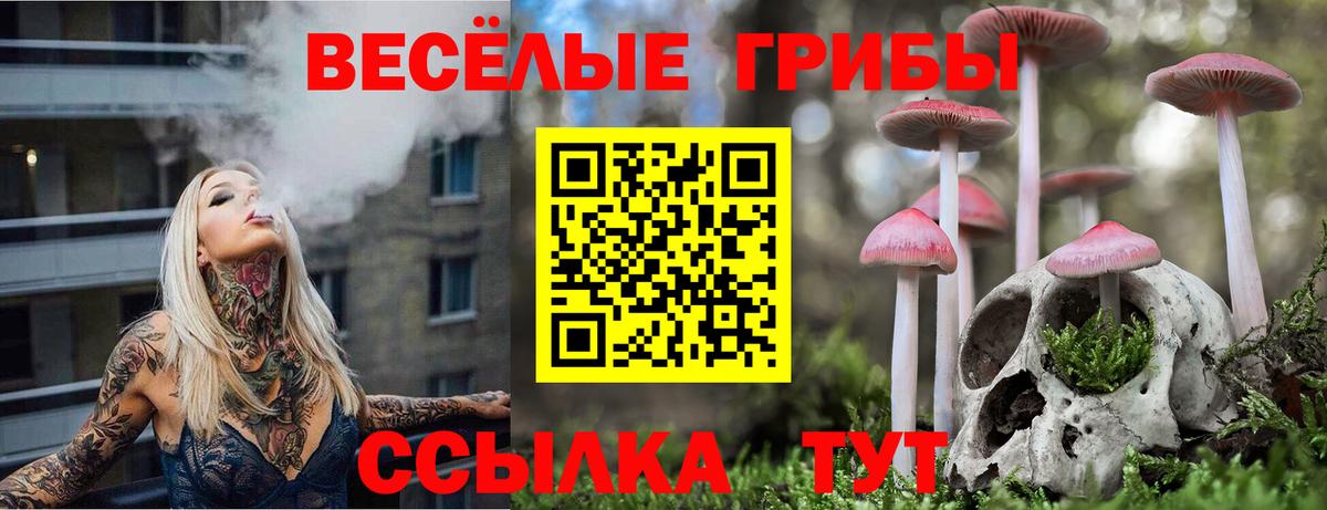 Галлюциногенные грибы мухоморы  Галлюциногенные грибы Psilocybe  Старый Оскол 