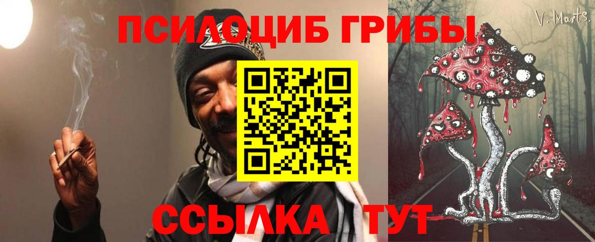 Галлюциногенные грибы GOLDEN TEACHER Старый Оскол